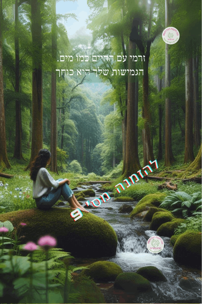 מגנט השראה
